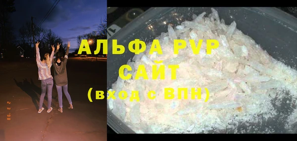 мдпв Гусев