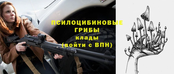 мдпв Гусев