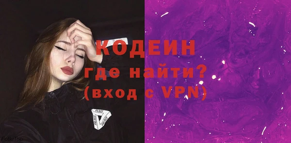 мдпв Гусев