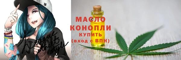 мдпв Гусев