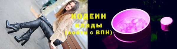 мдпв Гусев