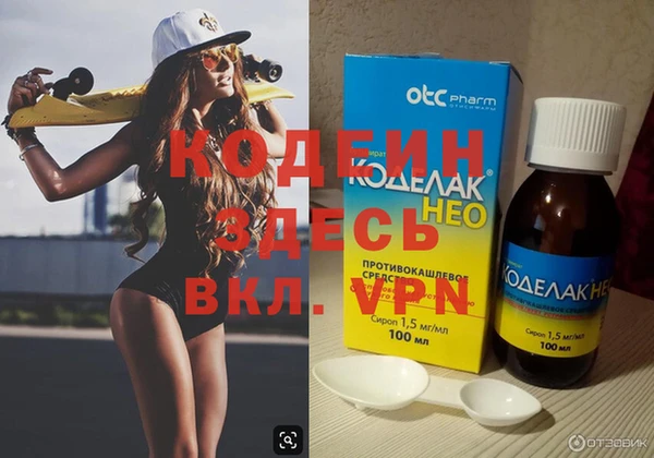 мдпв Гусев