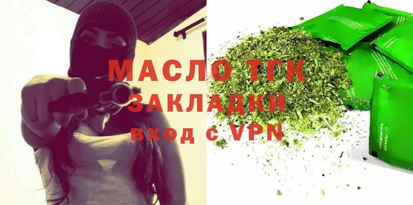 мдпв Гусев