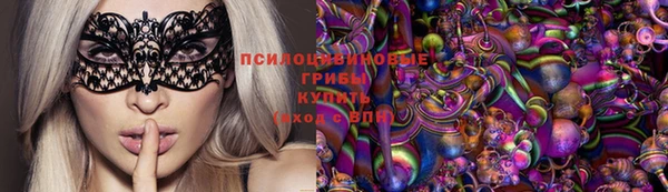 бошки Гусь-Хрустальный