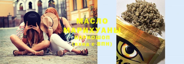мдпв Гусев
