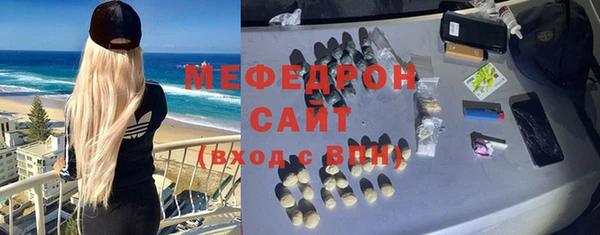 мдпв Гусев