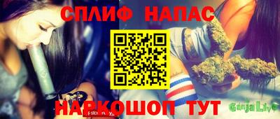 СК Балашиха