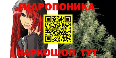 прущая мука Гатчина