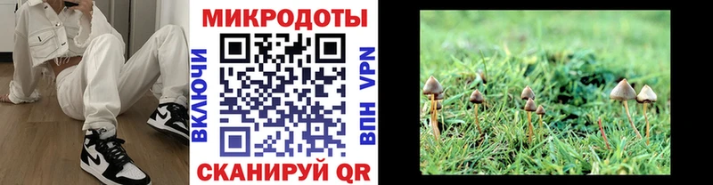 Псилоцибиновые грибы мухоморы  продажа наркотиков  Дюртюли 